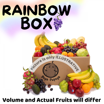 Rainbow Box